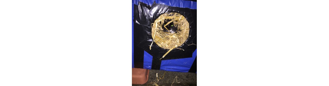 PURRRR-FECT Insulation